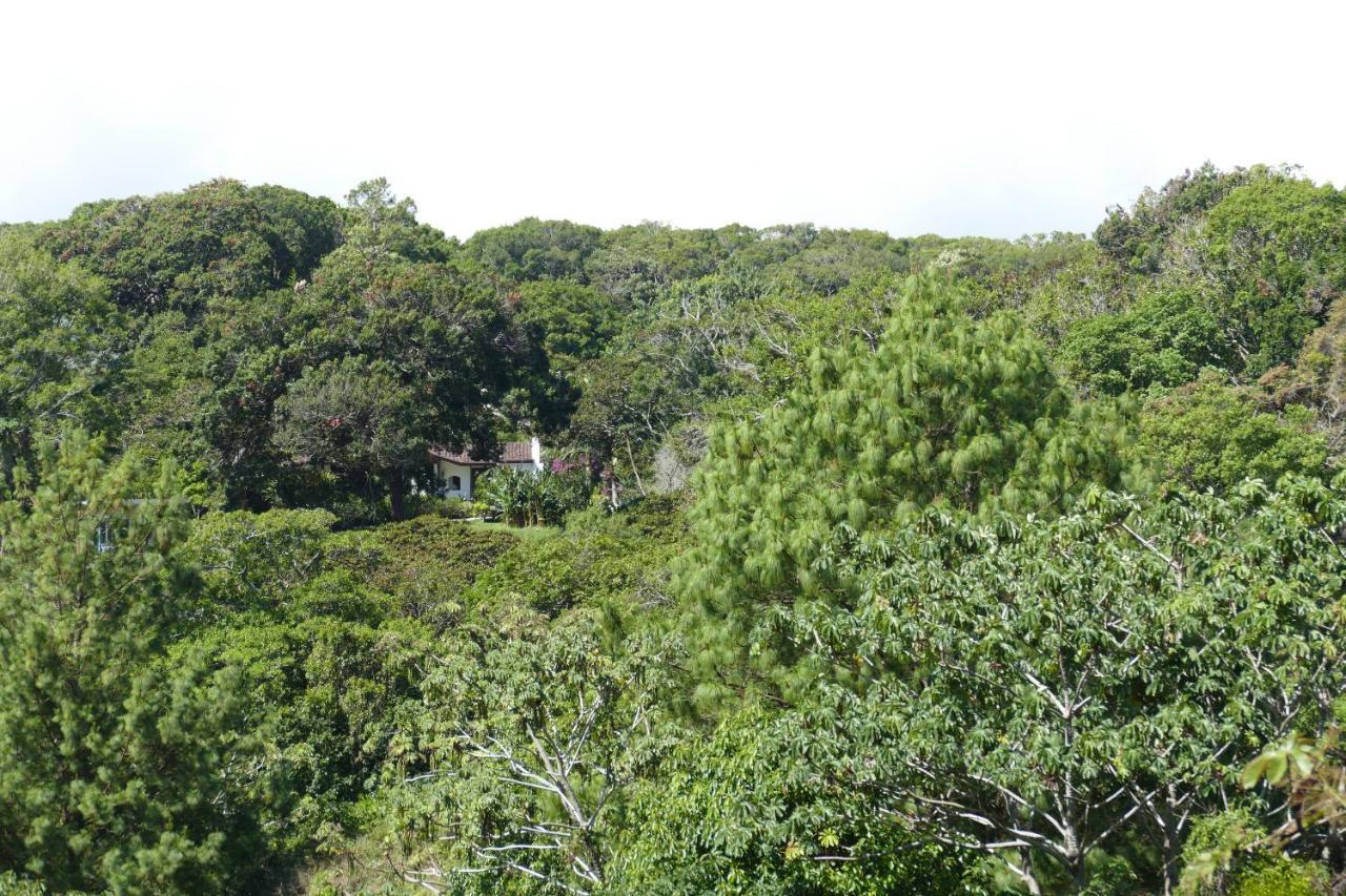 Casitas Vista Verde Bajo Boquete Exterior photo